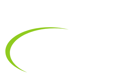 Copy of DMN Pro Cleaners (1)
